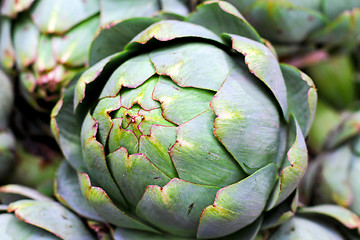 Image showing Artichokes