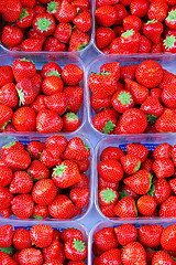 Image showing Fresh strawberries