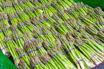 Image showing Asparagus