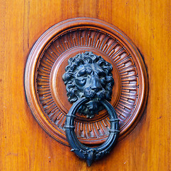 Image showing Knocker