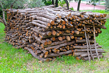 Image showing Firewood pile