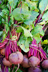 Image showing Beetroots