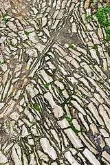 Image showing Cobble stone