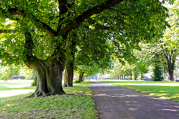 Image showing Park road