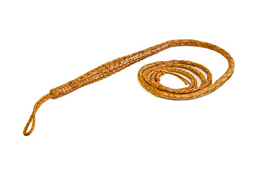 Image showing Whip