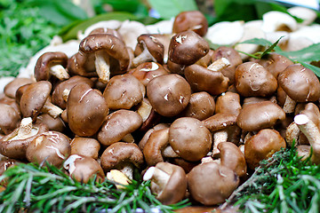 Image showing Cremini mushrooms