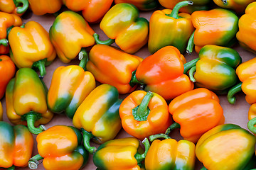Image showing Orange peppers