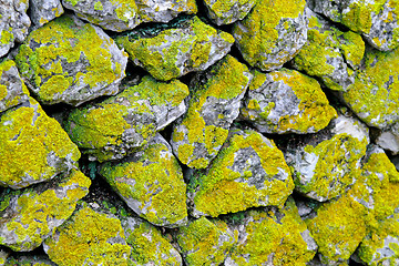 Image showing Moss stones