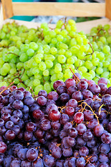 Image showing Two grapes