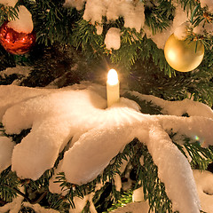 Image showing christmas