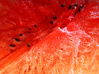 Image showing watermelon close up background