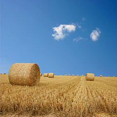 Image showing Straw Bales