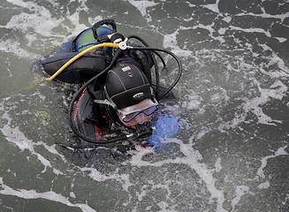 Image showing Diver in the water