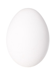 Image showing Only single white bird egg