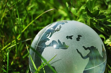 Image showing glass globe or earth in grass