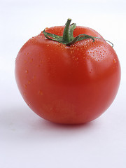 Image showing Tomato portrait II