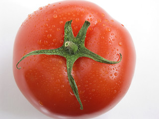 Image showing Tomato portrait III