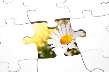 Image showing puzzle and flower