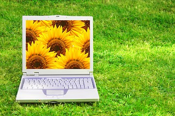 Image showing flowers and laptop