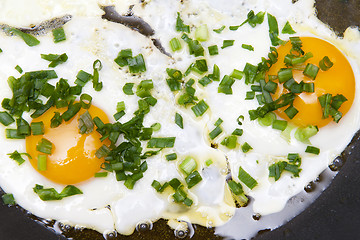 Image showing Fried eggs