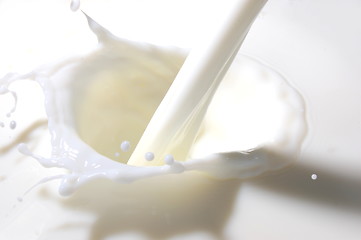 Image showing milk splash