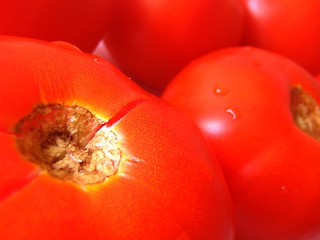 Image showing Tomatoes