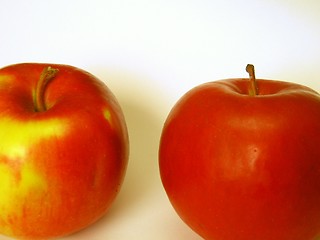 Image showing Apples