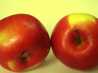 Image showing Apples