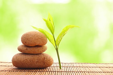 Image showing zen stone with leaf