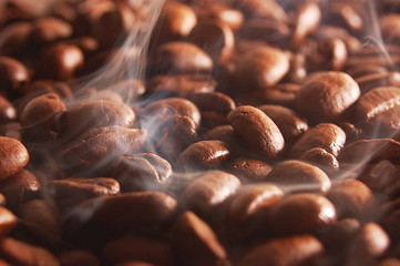 Image showing coffee beans