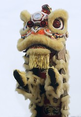 Image showing Lion Dance