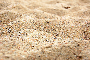 Image showing sand texture