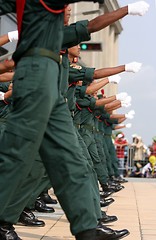 Image showing Marching Performance