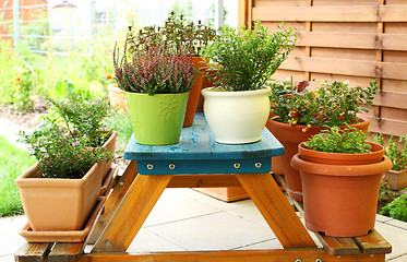 Image showing Outdoor flower pots