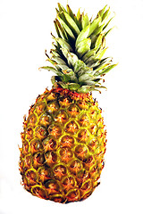 Image showing Wet Pineapple on White