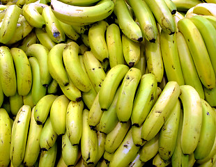 Image showing Bananas Bunches