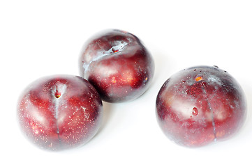 Image showing Three fresh plums