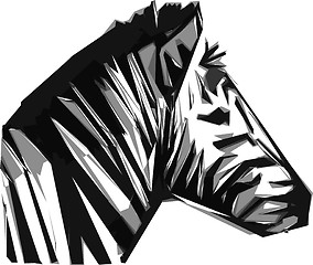 Image showing zebra head 