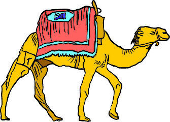 Image showing camel in colors