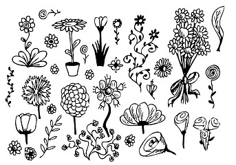 Image showing hand drawn flowers