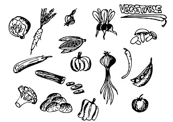 Image showing hand drawn vegetables