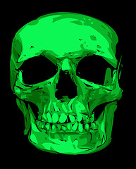 Image showing human skull 