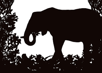 Image showing Elephant in Isolated Bush Frame Vector