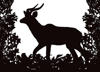 Image showing Kudu (Koedoe) in Isolated Bush Frame Vector