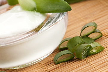 Image showing aloe vera - leaves and face cream