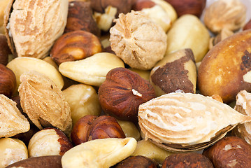 Image showing Nuts background