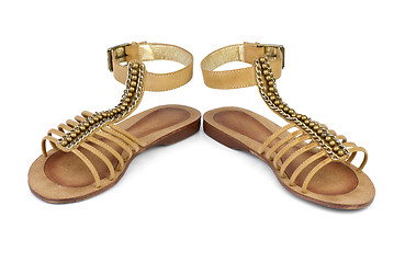 Image showing Pair of brown leather female sandals
