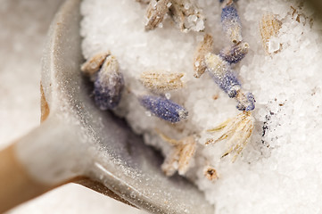 Image showing Lavender Sugar