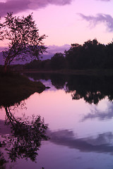 Image showing Silent river