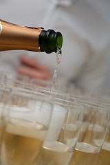 Image showing Champagne